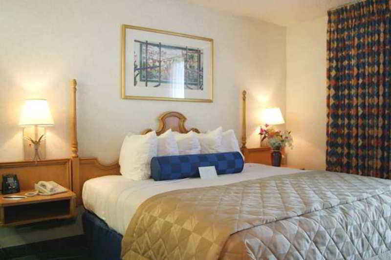 Embassy Suites By Hilton Austin Central Rum bild